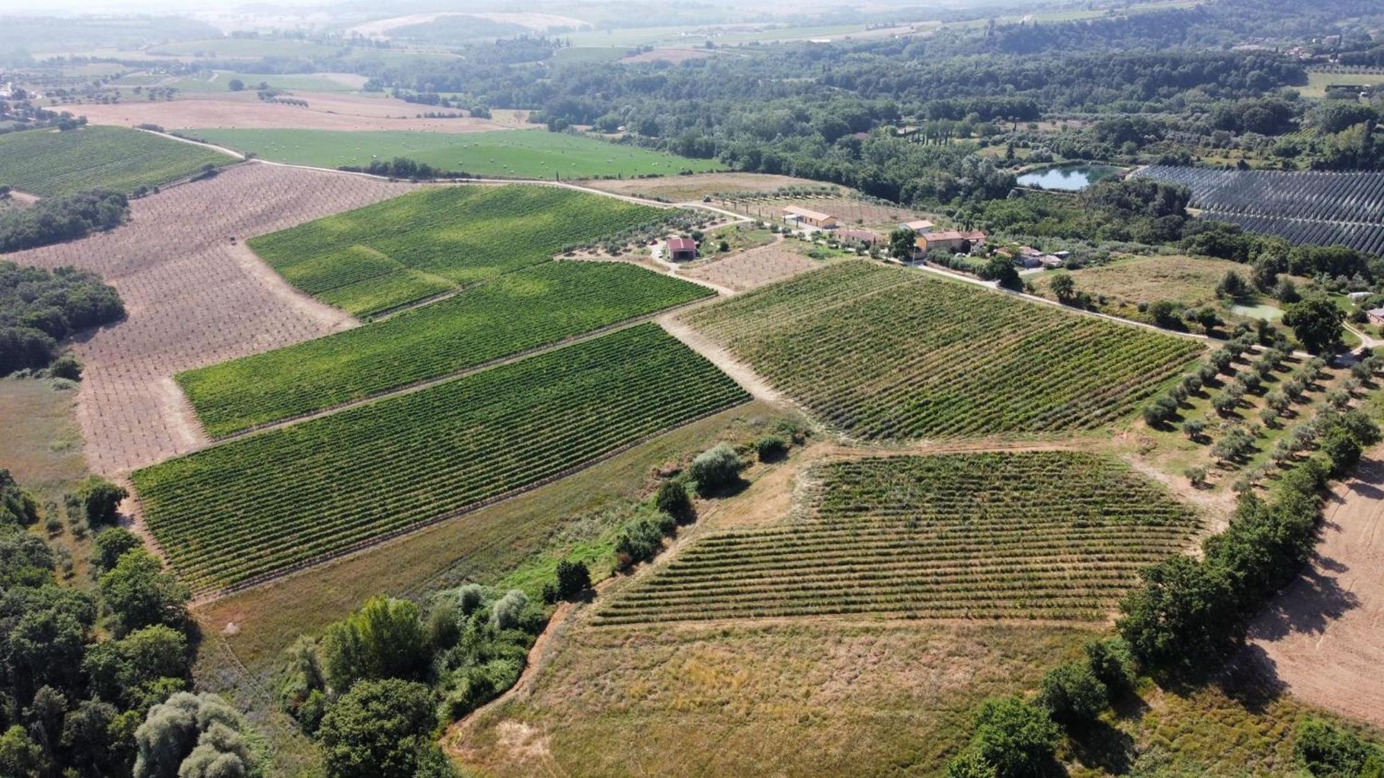 Montepulciano Stazione 아그리투리스모 포데레 카사 알 벤토 빌라 외부 사진