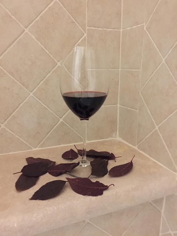 Montepulciano Stazione 아그리투리스모 포데레 카사 알 벤토 빌라 외부 사진
