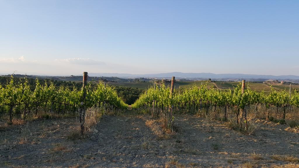 Montepulciano Stazione 아그리투리스모 포데레 카사 알 벤토 빌라 외부 사진