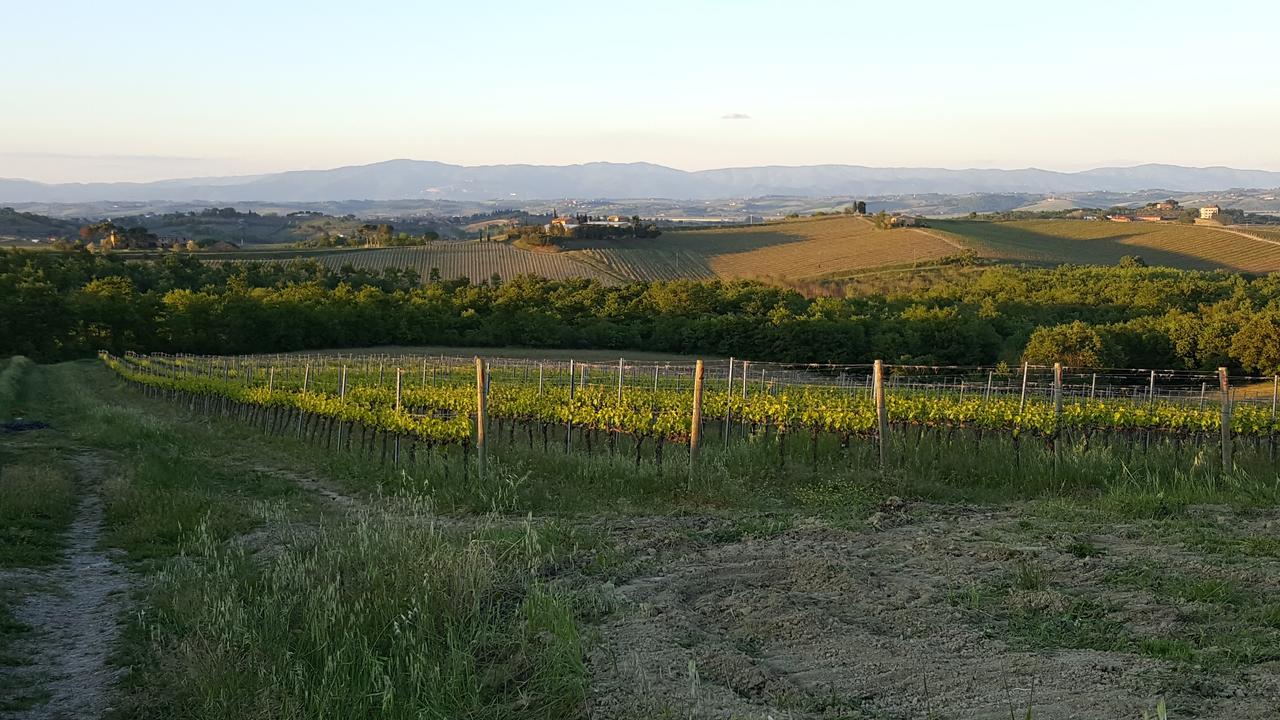 Montepulciano Stazione 아그리투리스모 포데레 카사 알 벤토 빌라 외부 사진