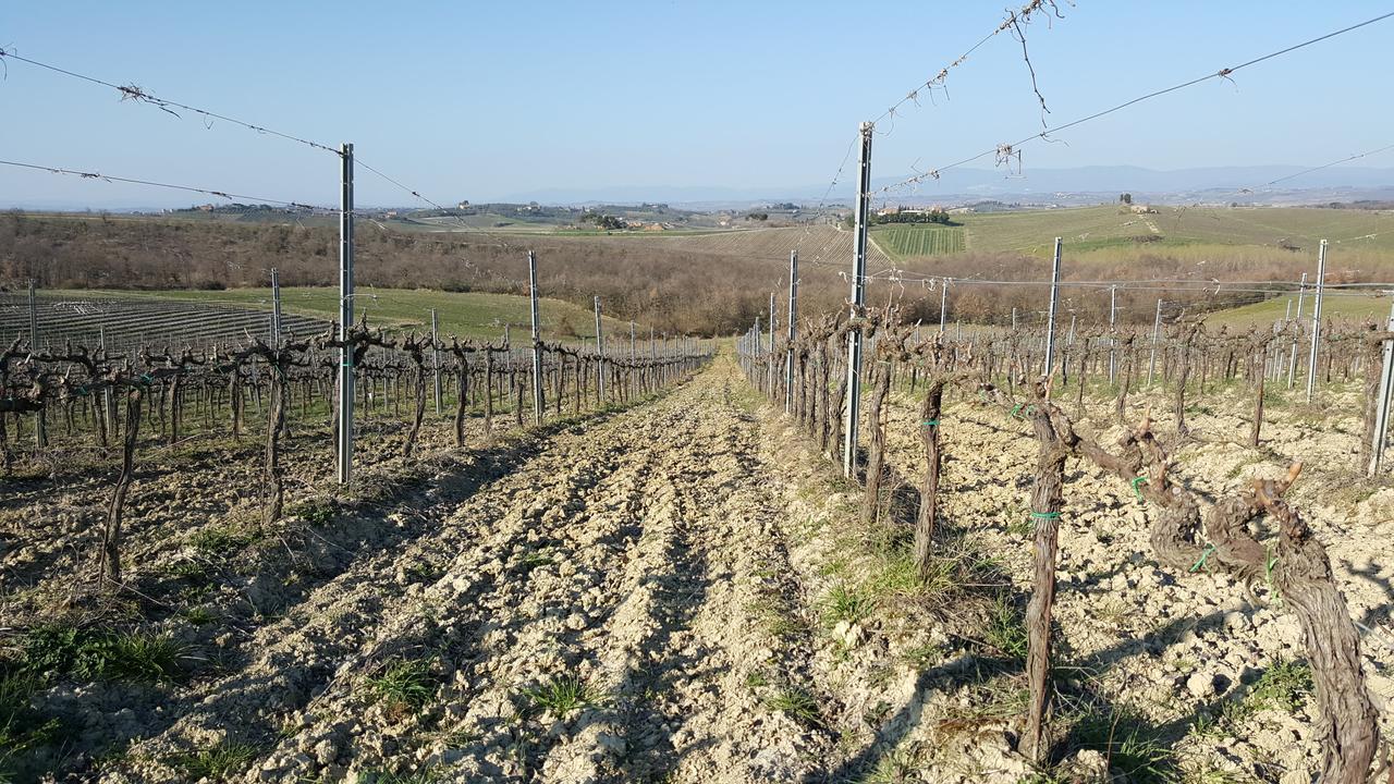 Montepulciano Stazione 아그리투리스모 포데레 카사 알 벤토 빌라 외부 사진