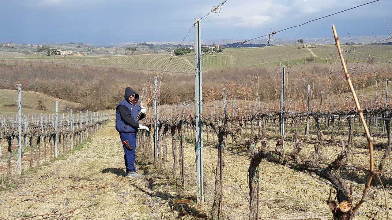 Montepulciano Stazione 아그리투리스모 포데레 카사 알 벤토 빌라 외부 사진